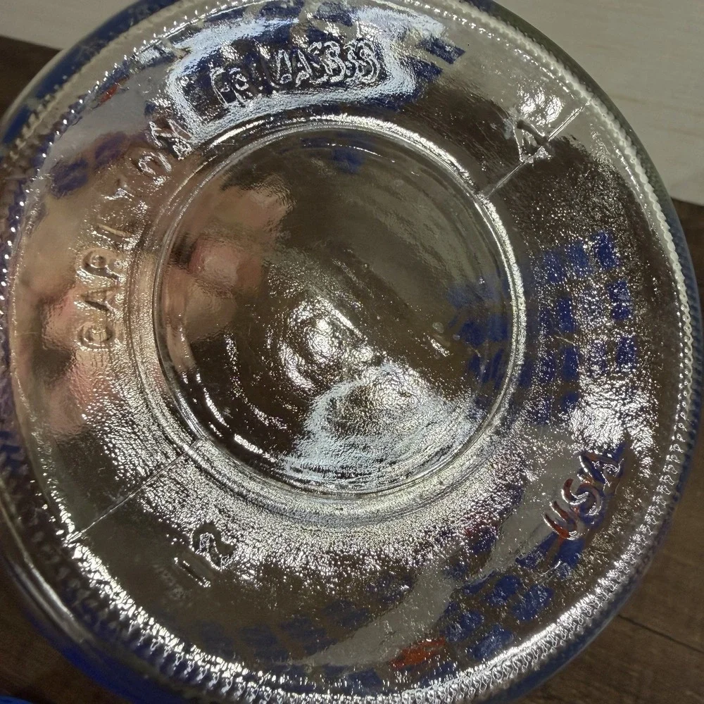 Vintage CARLTON GLASS USA 1 Liter Blue Checked Geese Ducks Canister 1982